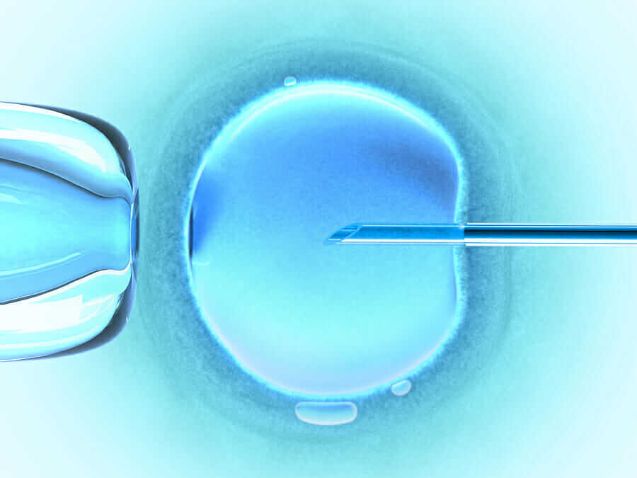 IVF India – Indians View towards IVF Treatment