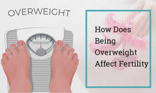 Weighing In On The Scale Debate: How often is too often and what factors  affect the number besides fat? - Mather Hospital