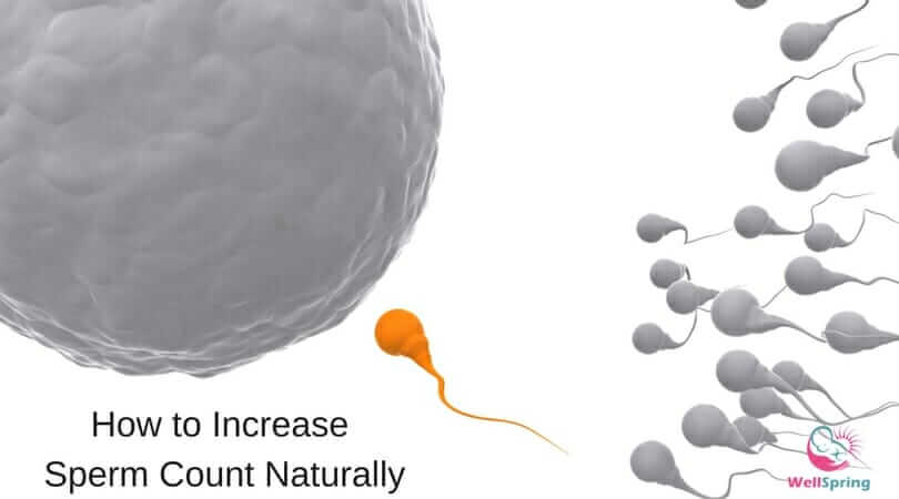 How to Increase Sperm Count Naturally