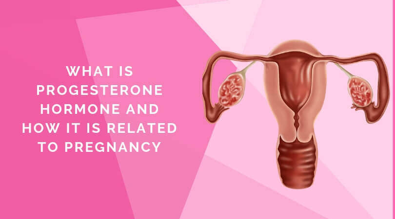 What is Progesterone Hormone and how it is related to Pregnancy