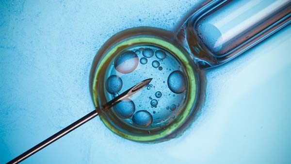 How much does IVF Cost in India – IVF Cost in 2019