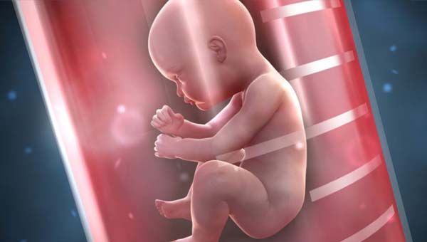 Best IVF Center in India - IVF in India - Test Tube Baby Center Best IVF Center in India - IVF in India - Test Tube Baby Center
