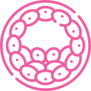 blastocyst-culture-and-embryo-transfer